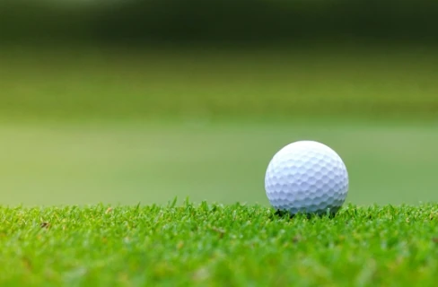 会員費用について